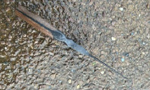 Load image into Gallery viewer, Studio Class: All Forged Full-Tang Hunter and Hot Stamp w/Josh Prince - $2000 ($300 Deposit)